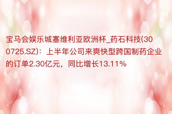 宝马会娱乐城塞维利亚欧洲杯_药石科技(300725.SZ)：上半年公司来爽快型跨国制药企业的订单2.30亿元，同比增长13.11%