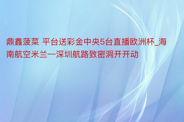 鼎鑫菠菜 平台送彩金中央5台直播欧洲杯_海南航空米兰—深圳航路致密洞开开动