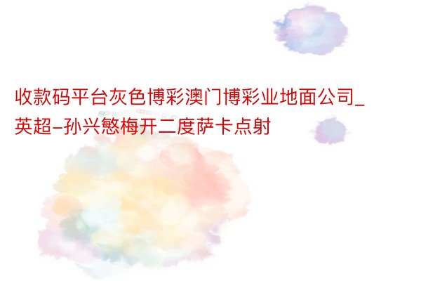 收款码平台灰色博彩澳门博彩业地面公司_英超-孙兴慜梅开二度萨卡点射